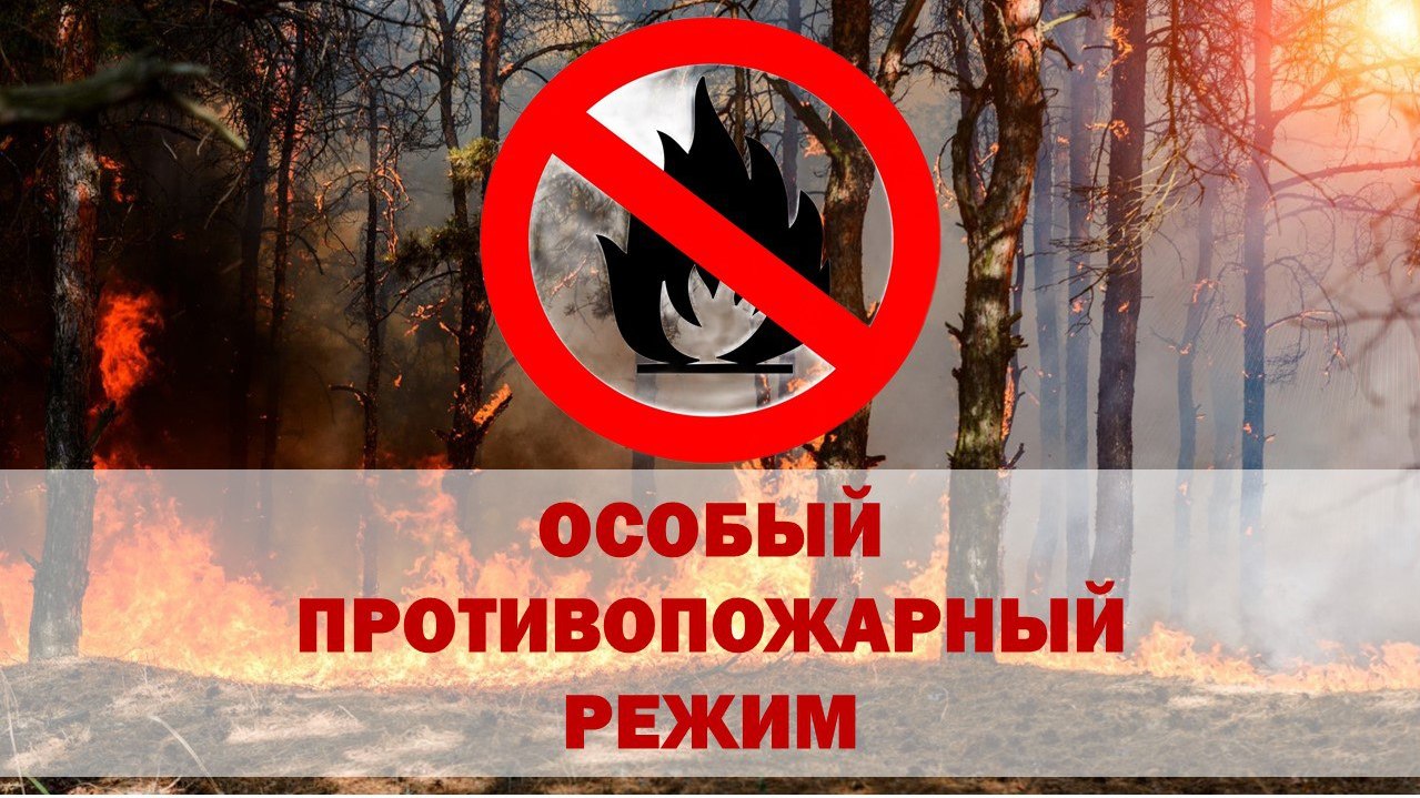  В Башкортостане с 27 апреля вводится особый противопожарный сезон